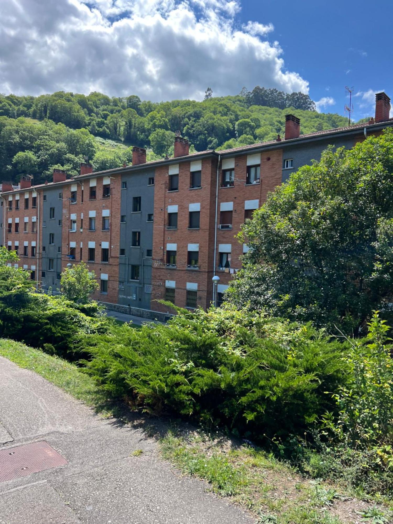 Mountain View Apartment Mieres  Exterior photo